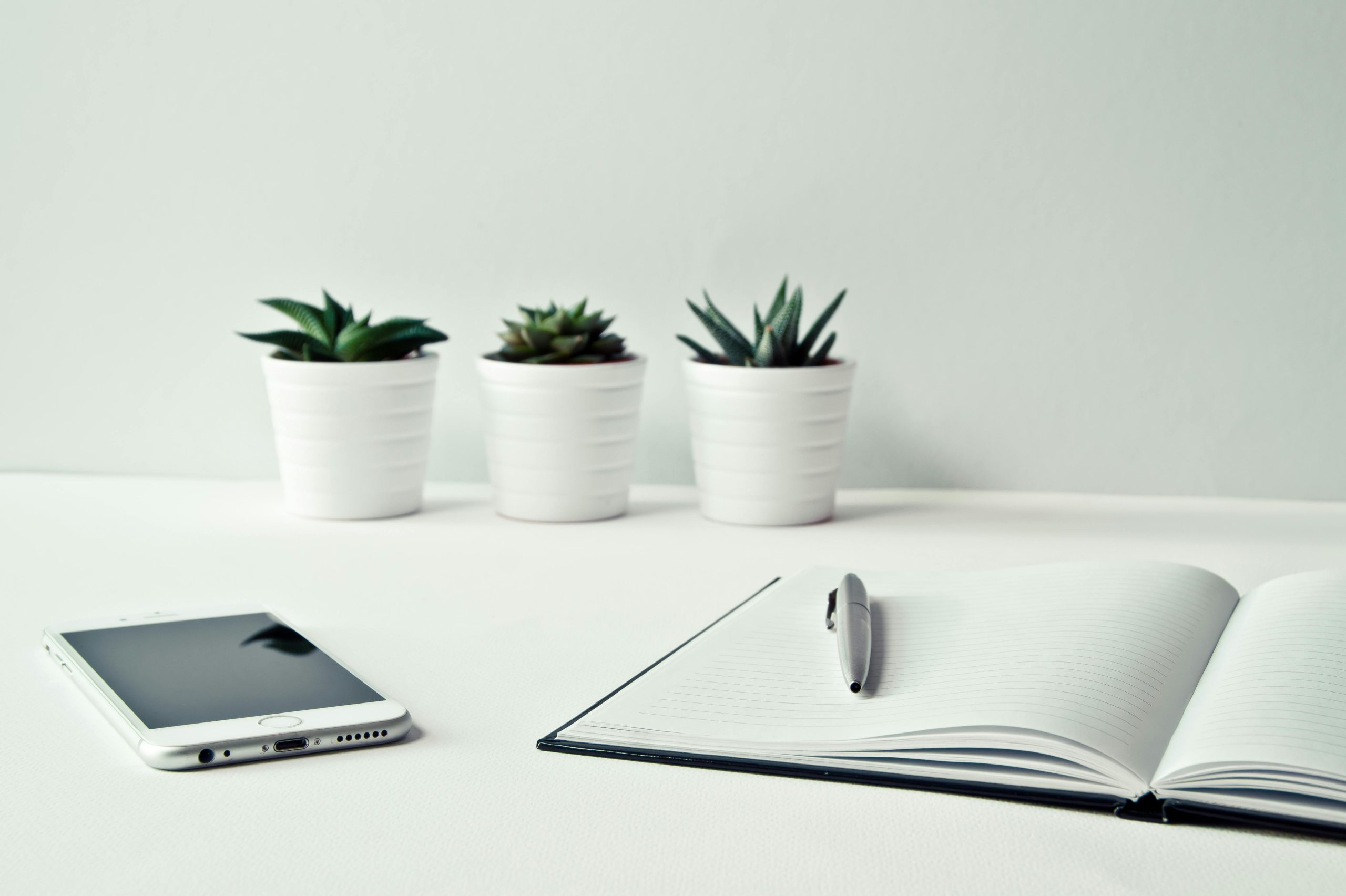 Services A clean, minimalist workspace featuring a smartphone, open notepad, pen, and potted succulents.